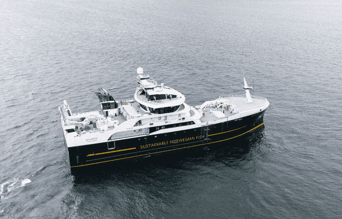 LEINEBRIS